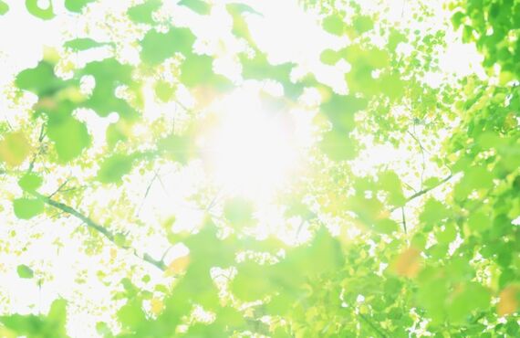 もてなし家では、新しく迎え入れたワンちゃんなどのトレーニングも行います